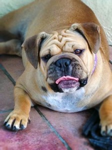 Emily Head of Security