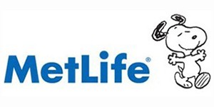 Metlife Insurance